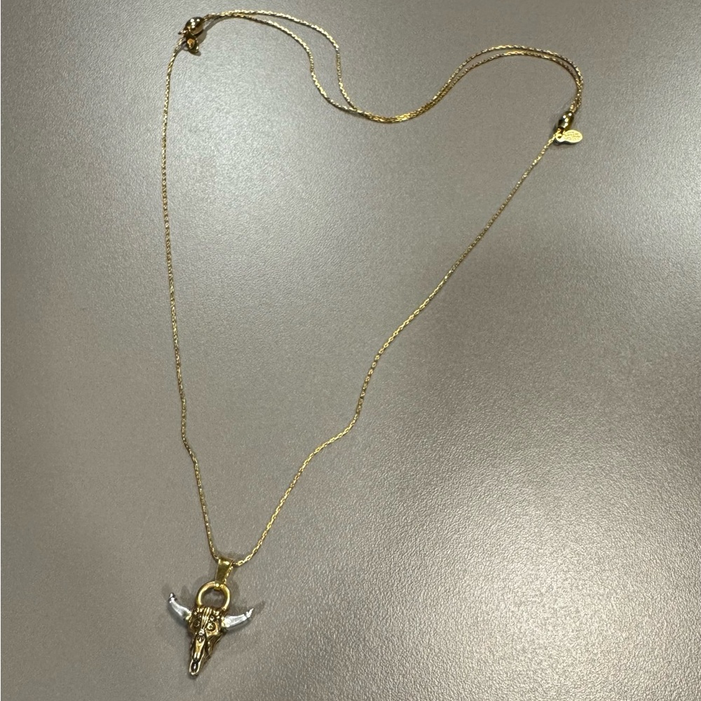 Alex and Ani Spirited Skull Necklace
